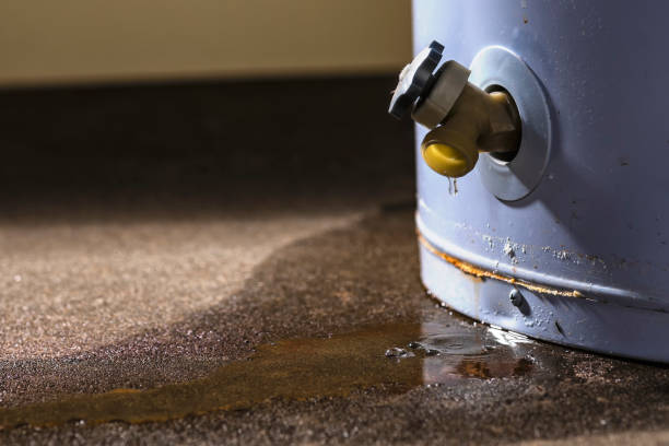  Lattingtown, NY Water damage restoration Pros