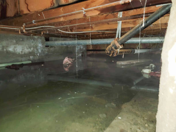 Best Flooded house restoration  in Lattingtown, NY