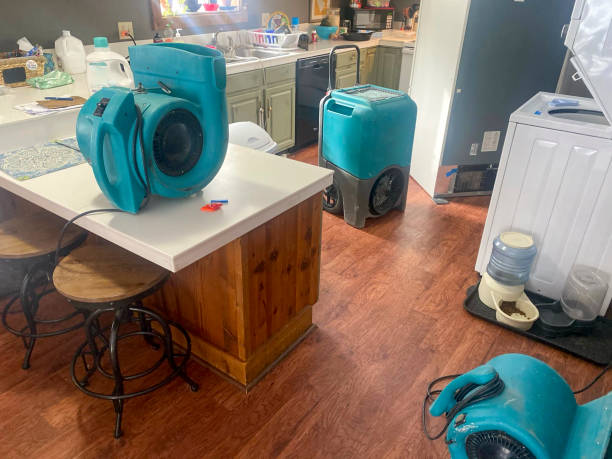 Best Water damage cleanup near me  in Lattingtown, NY