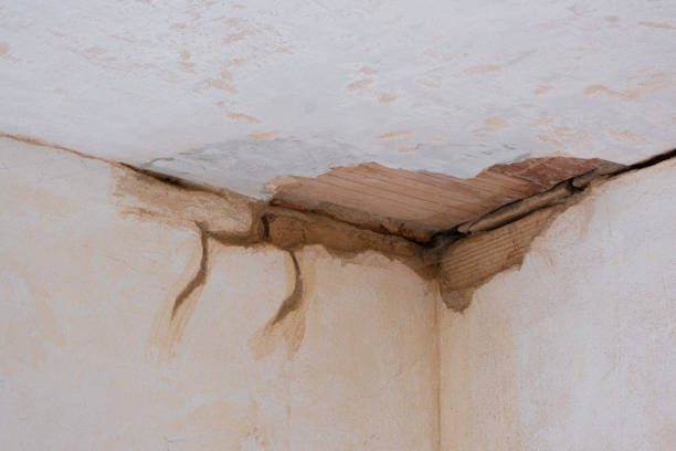 Best Carpet water damage restoration  in Lattingtown, NY