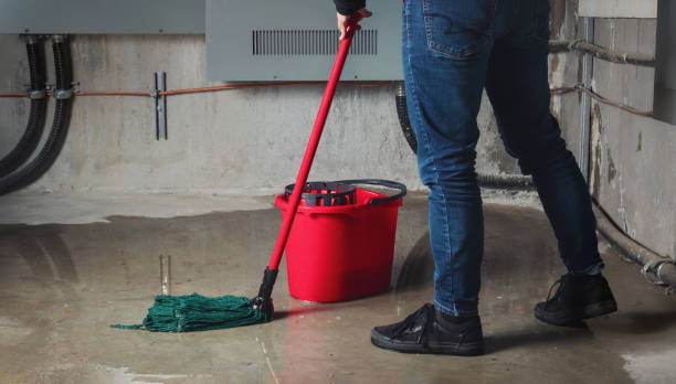 Best Water damage restoration cost  in Lattingtown, NY