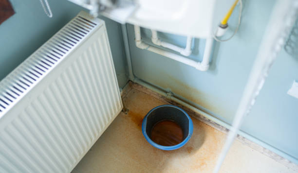 Best Sewage cleanup and water damage restoration  in Lattingtown, NY