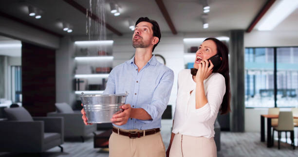 Best Fire Damage Restoration  in Lattingtown, NY